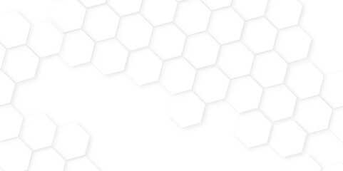 Abstract background with hexagon, modern abstract vector polygonal pattern. Futuristic honeycomb mosaic white background,white and gray hexagon honeycomb geometric copy space.