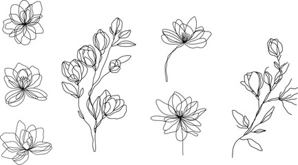 One line vector illustration of magnolia flowers. Elegant continuous line art set of botanical floral elements. Collection floral. 