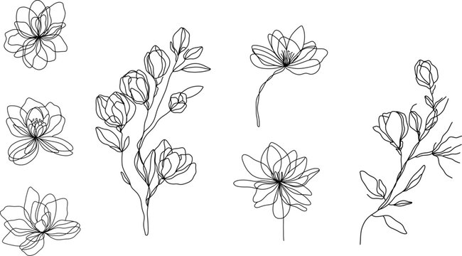 One line vector illustration of magnolia flowers. Elegant continuous line art set of botanical floral elements. Collection floral. 