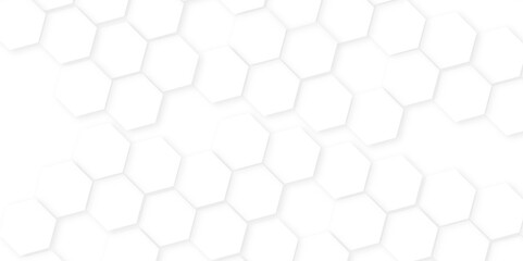 Abstract background with hexagon, modern abstract vector polygonal pattern. Futuristic honeycomb mosaic white background,white and gray hexagon honeycomb geometric copy space.