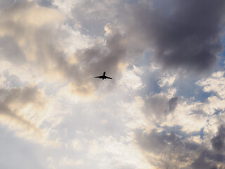 une silhouette d'avion sous les nuages au soleil couchant