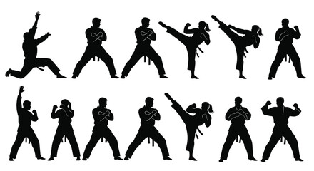 Martial arts silhouette in dynamic action, showcasing powerful kicks, stances, techniques, self-defense moves, sports posture, black belt fitness form