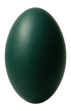 Large green emu egg with slightly textured, matte exterior