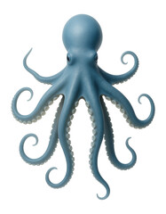 Octopus with a soft, bulbous head and eight flexible arms covered in suction cups