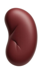 Enlarged spleen with uniform increase in size and smooth surface