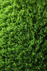 Lush green artificial grass texture with dense blades in natural light