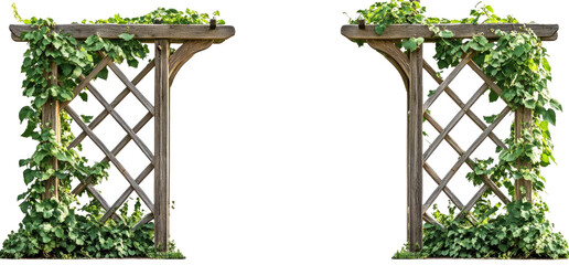 Two weathered wooden arbors, adorned with climbing plants