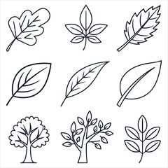 leaves-icon-collection--includes-thin-line-symbols