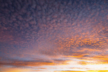 Sunset background