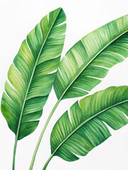 green banana leaf background