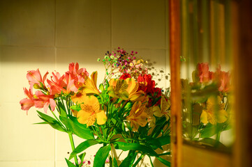 Colorful bouquet of alstroemeria flowers bathed in warm sunlight reflecting off a nearby surface in...