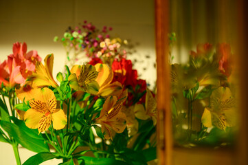 Brightly colored flowers arranged in a vase create a vibrant display in a warm indoor setting...