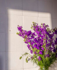 Brightly lit purple flowers in a glass vase against a white tiled wall create a cheerful atmosphere in a cozy interior space during the afternoon