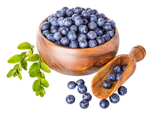Organic blueberry in natural antique crafting wooden scoop. Scattered Berries still life. Healthy eating fresh blueberries green leaves harvest isolated. PNG.