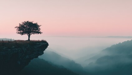Misty mountaintop, lone tree
