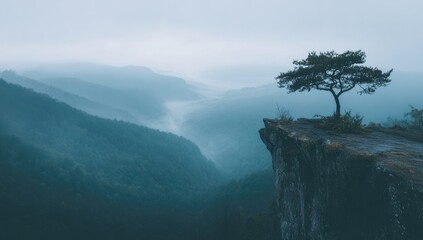 Misty mountain vista; solitary tree atop a crag