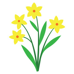 yellow daffodils isolated on white