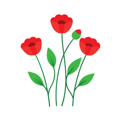 bouquet of red poppies