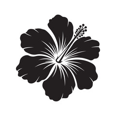 Black hibiscus flower silhouette isolated on white background