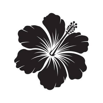 Black hibiscus flower silhouette isolated on white background
