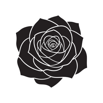 Rose silhouette isolated on white background