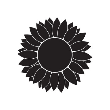 Sunflower silhouette isolated on white background