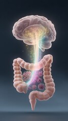 Understanding the connection between the brain and gut in relation to obesity treatment and weight loss trends