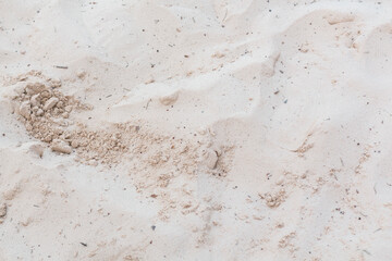 sand texture on the beach