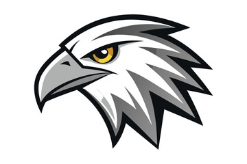 Majestic eagle head displays a striking gaze with sharp grey and white feathers