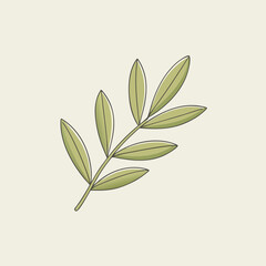 Simple Green Olive Branch Illustration Botanical Design Element