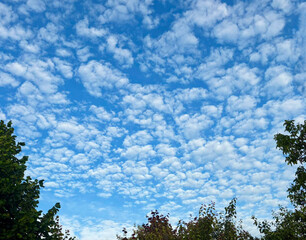 High blue sky, rippled with cirrocumulus clouds, through the gaps of which silhouettes of trees can be seen.