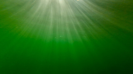 Abstract green background with rays. Background of sun rays underwater in a lake. View of the...