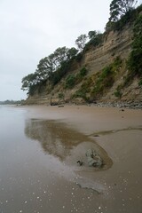 Long Bay Beach Cliff in Rainy Weather, Auckland, New Zealand