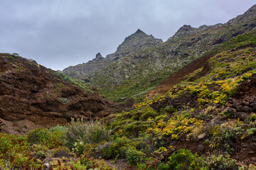 Fototapeta premium Mist over volcanic valley in Anaga