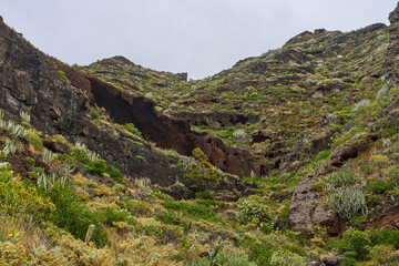 Volcanic cave and basalt rock