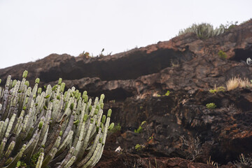 Volcanic cave and basalt rock