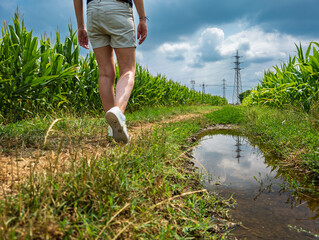 Walking scene on a country road