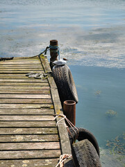 Seagull resting on old dock with tire bumper on calm lake in summer light