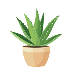 My Simple flat 2D illustration of a aloe vera plant in vase isolated on a white background, vector 2D design, icon, flat 2d illustration art, Eps painting, Vector set