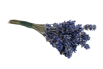 Bouquet of dry lavender flowers isolated on a transparent background