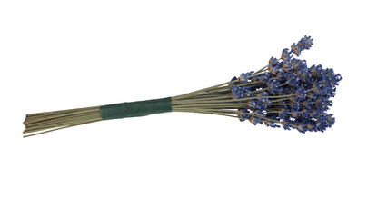 Bouquet of dry lavender flowers isolated on a white background