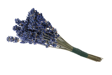Bouquet of dry lavender flowers isolated on a white background