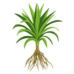 My Simple flat 2D illustration of a icon yucca roots bunch isolated on a white background, vector 2D design, icon, flat 2d illustration art, Eps painting, Vector set