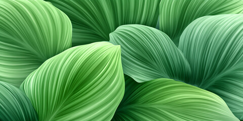 Green leaves creating a soft, natural, tropical background
