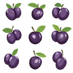 My Simple flat 2D illustration of a plums set isolated on a white background, vector 2D design, icon, flat 2d illustration art, Eps painting, Vector set