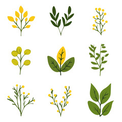 My Simple flat 2D illustration of an icon mustard leaves set isolated on a white background, vector 2D design, icon, flat 2d illustration art, Eps painting, Vector set