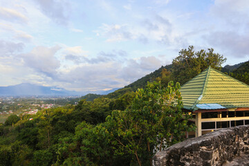 Scenic Cityscape View with Green Roof Gazebo