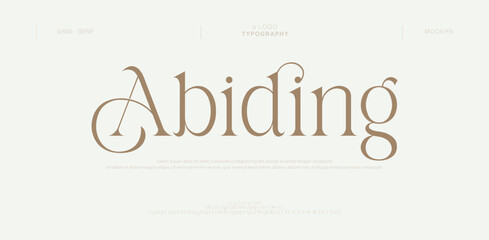 Abiding Elegant Lettering vintage Retro Designs. Typography decoration fonts for branding, wedding, logos. vector illustration
