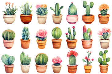 A collection of 20 different potted minimal cacti or cactus and succulent plants in various shapes, sizes, and colors, each in distinct pots