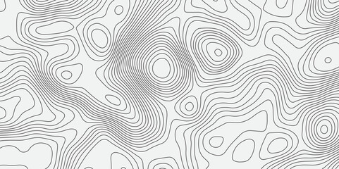 Generate an abstract background featuring intricate, flowing contour lines in varying shades of grey on a light,neutral background.The lines should create a sense of organic movement and subtle depth.